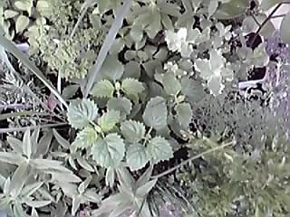 e0197983_14342335.jpg