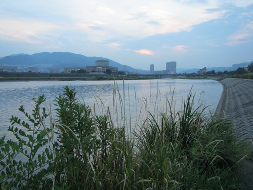 a0251786_001314.jpg