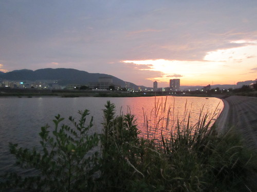 a0251786_003750.jpg