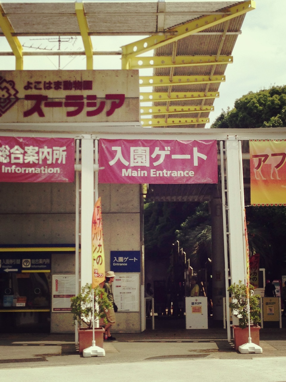 里帰り。_d0178587_13105148.jpg