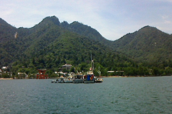 a0233991_21182969.jpg
