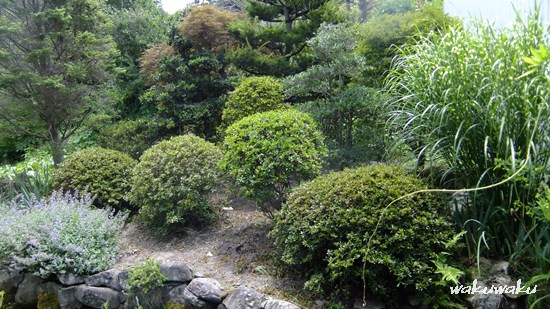 f0215591_8531845.jpg