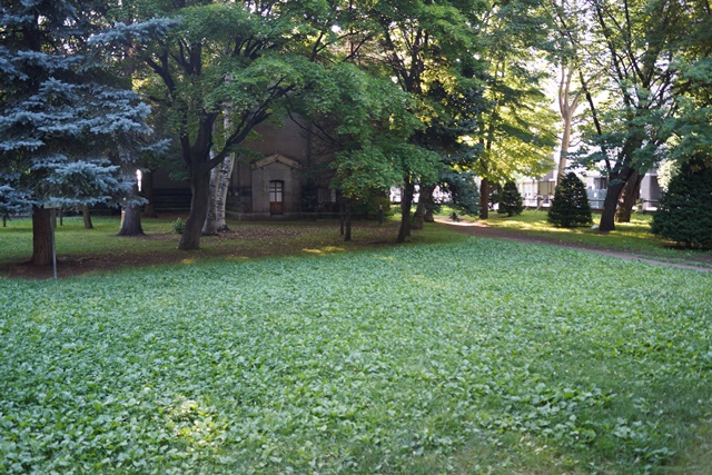 d0181492_19491180.jpg