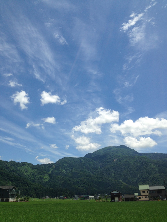 near summer_d0112893_1431503.jpg