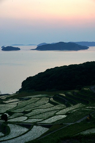 e0176993_6143196.jpg