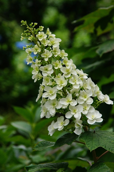 b0145398_23531577.jpg