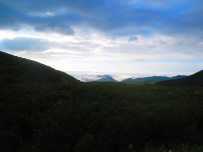 e0309700_825837.jpg