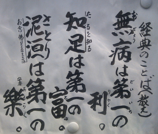c0039501_1633856.jpg