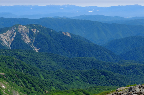 花と緑の白山・日帰り④_e0304001_22435734.jpg