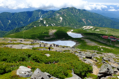 花と緑の白山・日帰り④_e0304001_22575244.jpg