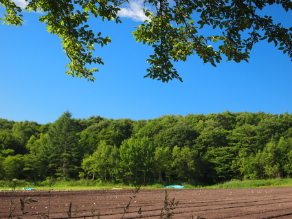 ２０１３年夏キャン　後半_d0174502_21312476.jpg