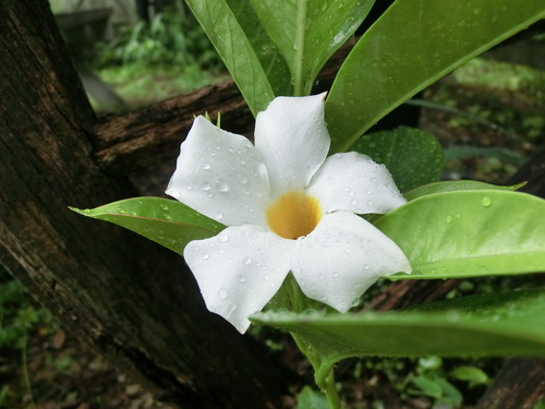 c0156104_23132356.jpg