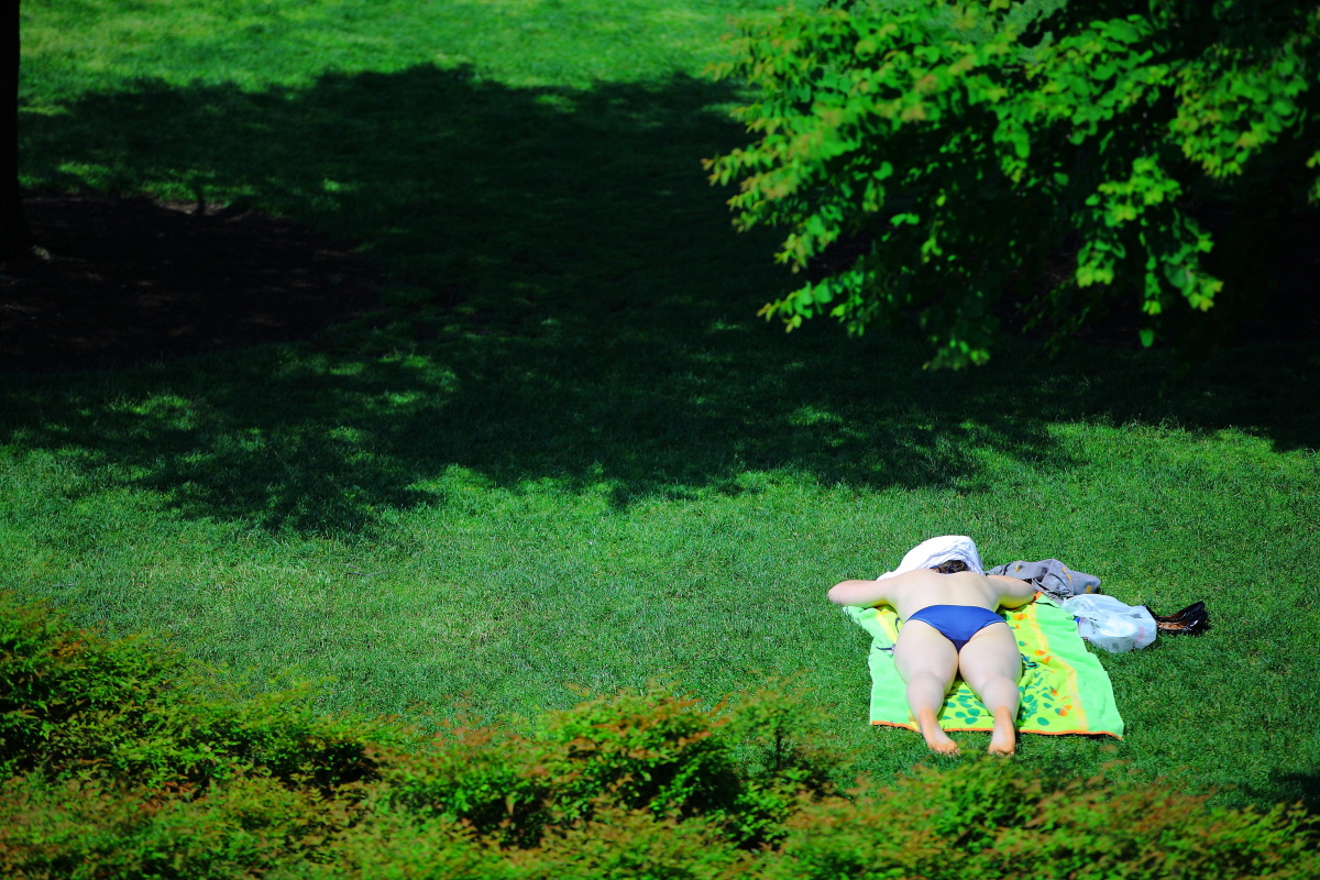 65Fの夏の朝_a0274805_2304213.jpg