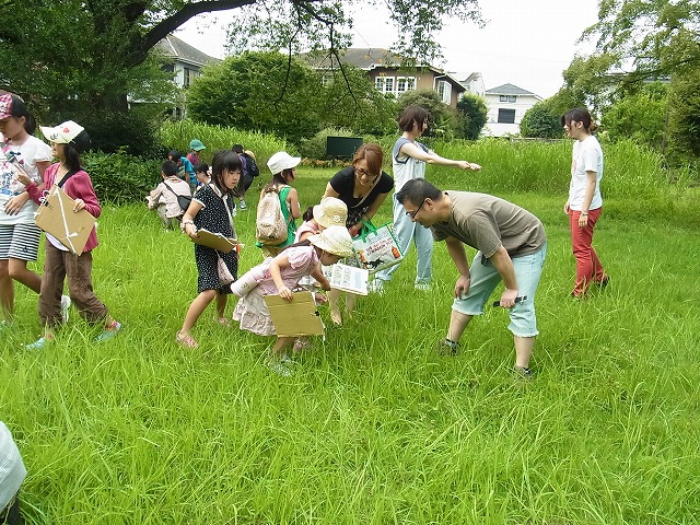 すみれば探検隊「すみればの虫と遊ぼう」_b0049307_15283695.jpg