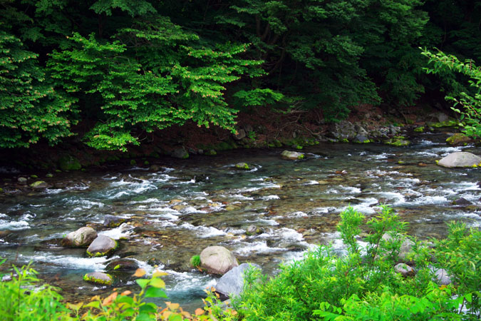 a0263109_15241013.jpg