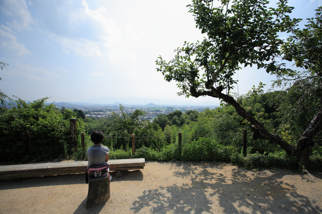 長女と山の辺の道を歩いてみた_a0123415_17281729.jpg