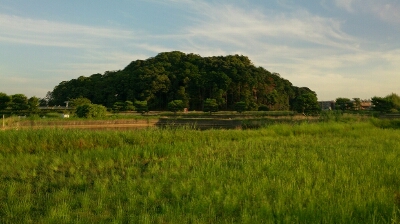 d0202617_2253228.jpg