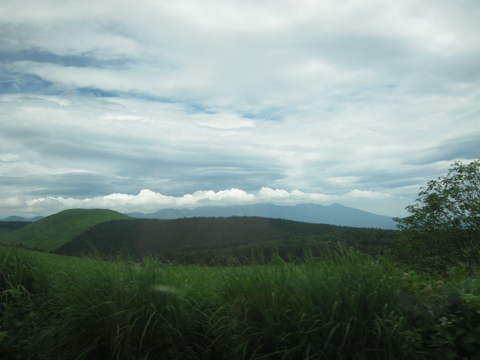 e0224118_21515296.jpg
