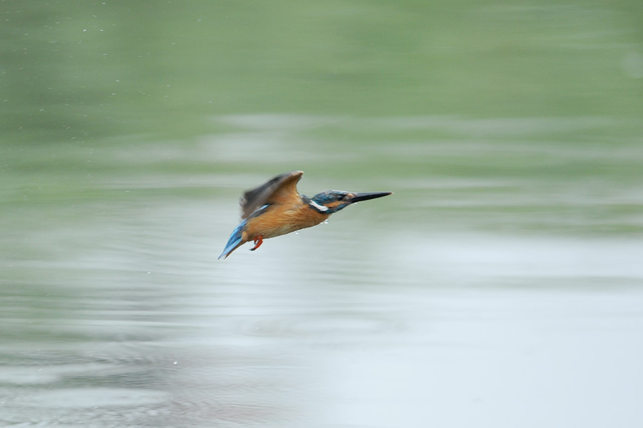 130725 公園出悪し_c0278820_17163931.jpg