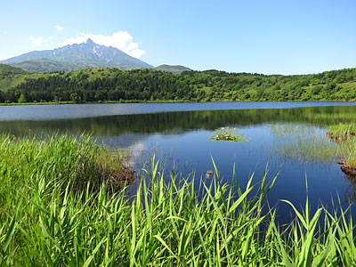 地球探検隊 利尻島サイクリング&ハイキング_d0023725_6551267.jpg