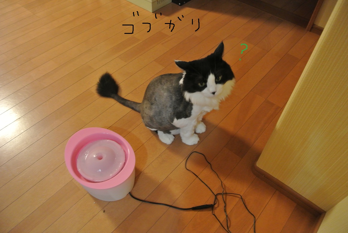a0099131_1345246.jpg