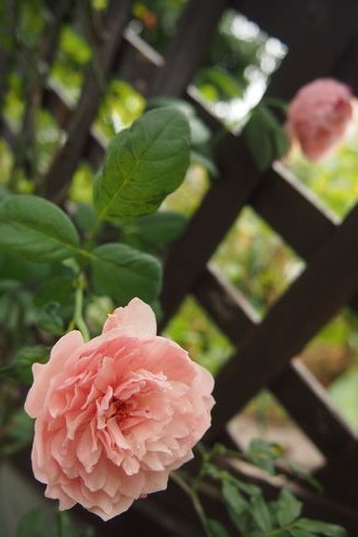 f0243731_9333780.jpg