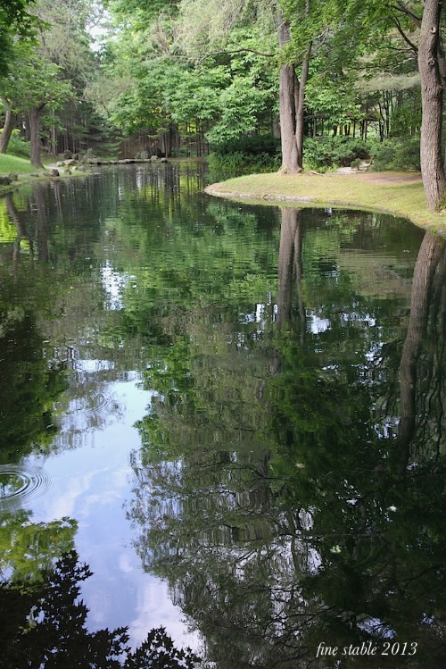 c0240132_51354.jpg