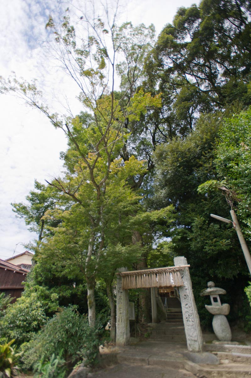 五十猛神社　福岡県福岡市西区_b0023047_5261258.jpg