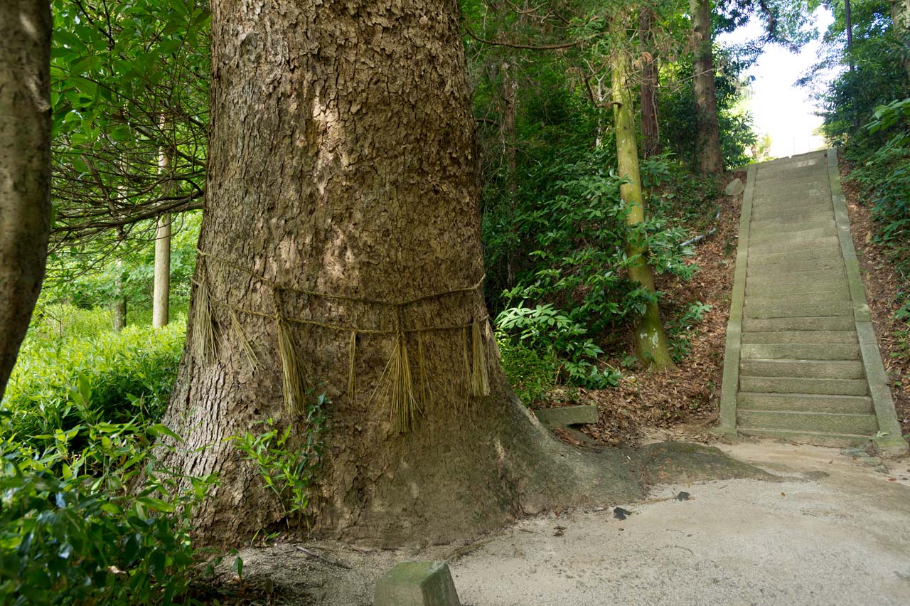 羽黒神社　福岡県福岡市南区_b0023047_544381.jpg