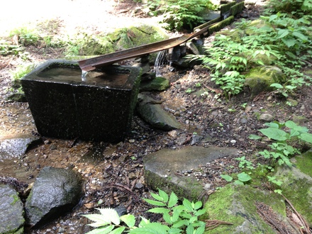 御三島さま_d0249047_13311462.jpg