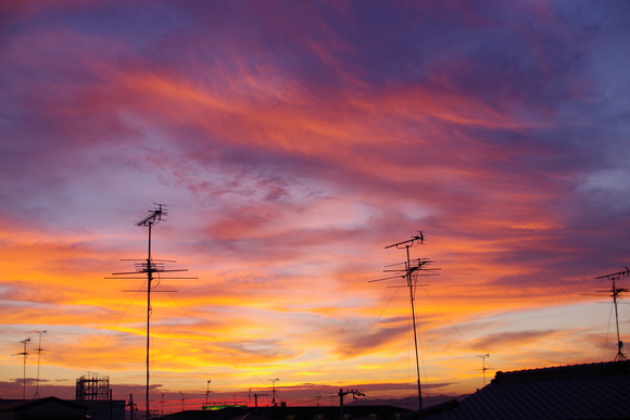 夏の夕焼け 息子と写真がすき 夏の夕焼け 息子と写真がすき