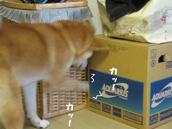 f0245650_1064429.jpg