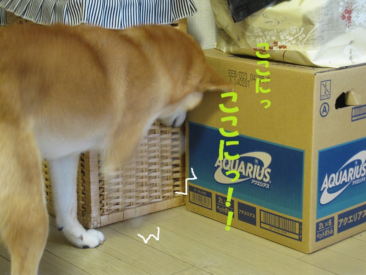 f0245650_1081860.jpg