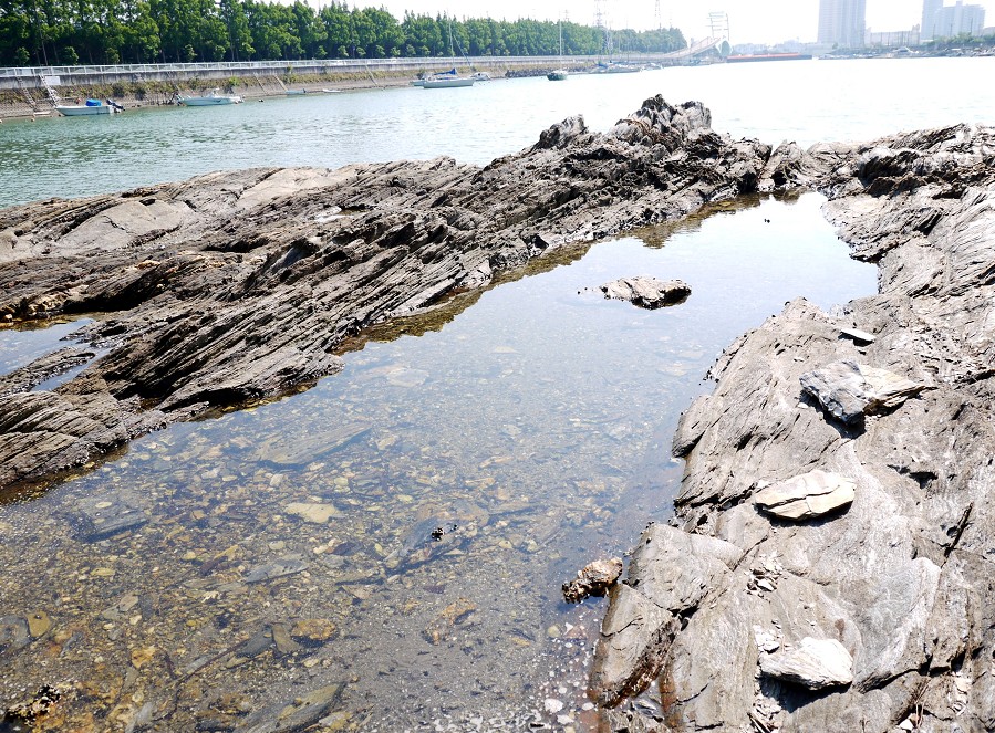 　　温山荘園_b0093754_2012313.jpg