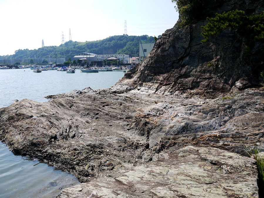 　　温山荘園_b0093754_20125767.jpg