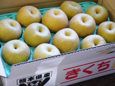 熊本梨 本藤果樹園 平成25年度初出荷!!_a0254656_17142398.jpg