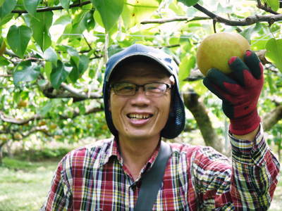 熊本梨 本藤果樹園 平成25年度初出荷!!_a0254656_183961.jpg