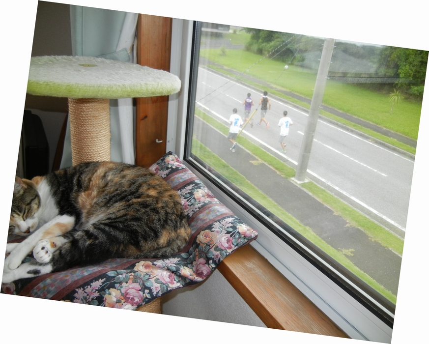 ’13,7,25(木)勝浦の朝は早くて長い!_f0060461_10273543.jpg