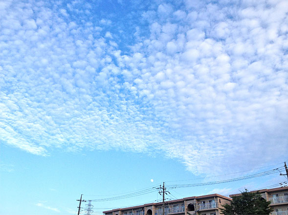 今日の空　２０１３年７月２０日（土）_e0036563_21594668.jpg