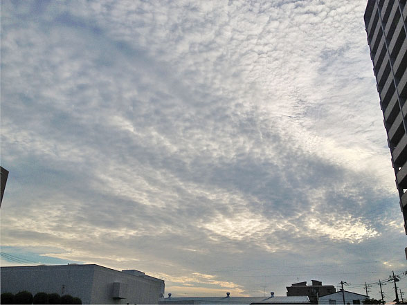 今日の空　２０１３年７月２０日（土）_e0036563_21594868.jpg