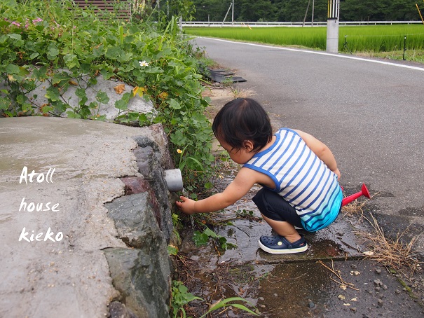 冷た～い！水遊び_a0139570_123033.jpg