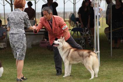 ♪ ユアン 清水愛犬クラブ展 ♪_c0161772_2216840.jpg