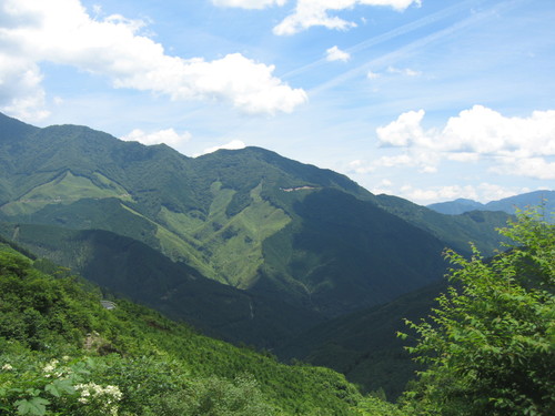 c0154876_1383443.jpg