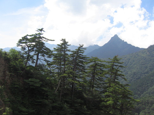 c0154876_1563396.jpg