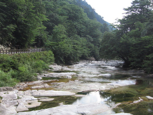 c0154876_1572156.jpg
