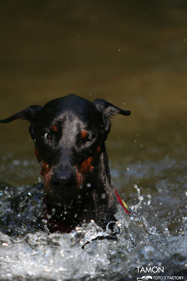 TAMON SPLASH !  3_a0034287_23565572.jpg