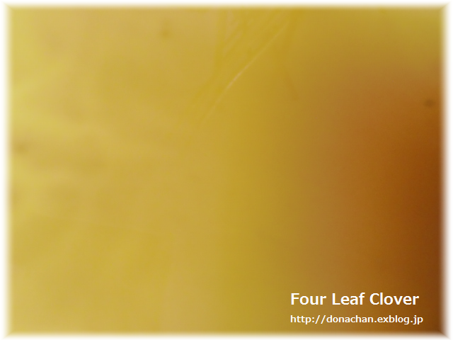 b0232891_2242165.png