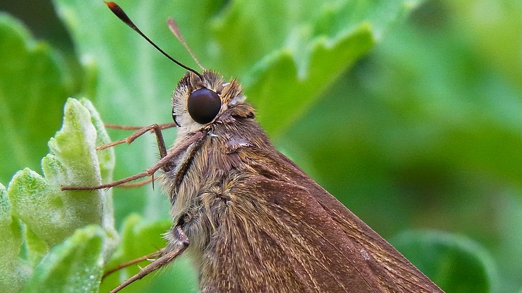 a0152692_18234699.jpg