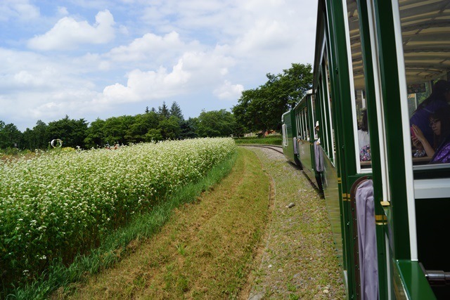 d0181492_6551344.jpg