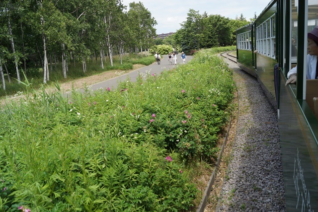 d0181492_659430.jpg